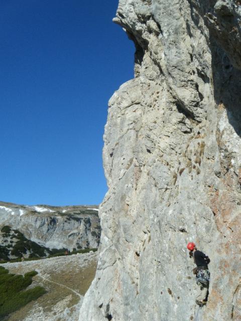 11 rote Phantasie 2011