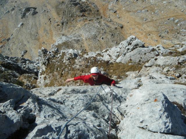 17 rote Phantasie 2011