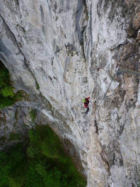 direkter Gaisbauer (5)