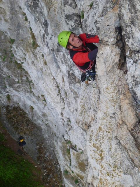 direkter Gaisbauer (6)