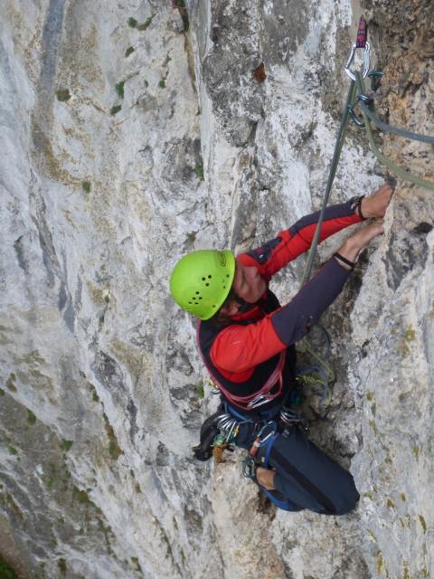 direkter Gaisbauer (7)