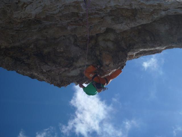 2012 Perln vor die Säue 12