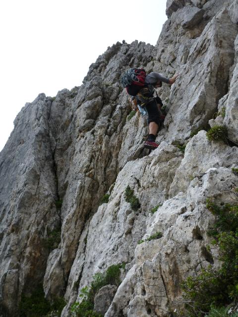 58 Frisch Corradini 2012 Pala