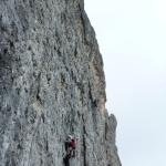 62 Perla Nera 2012 Pala