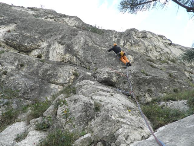 36 Gelber Oktober 2012.jpg