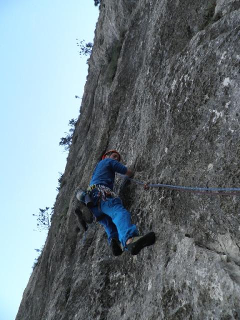 8 Gelber Oktober 2012.jpg