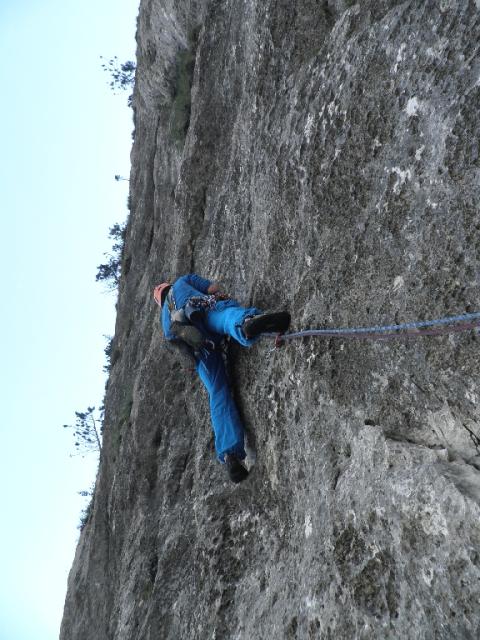 9 Gelber Oktober 2012.jpg