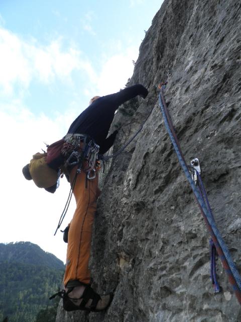 4 Gelber Oktober 2012.jpg