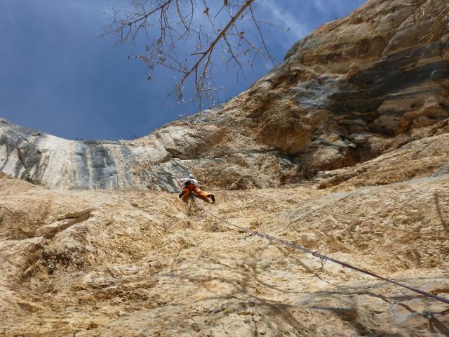 15 Hatschi Bratschi Reloaded 2012