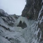 21 Gullygalerie 2013