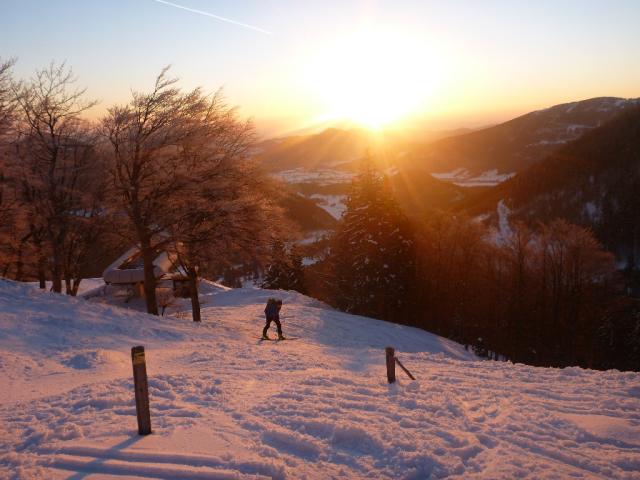 Salvisgraben 2013 (5)