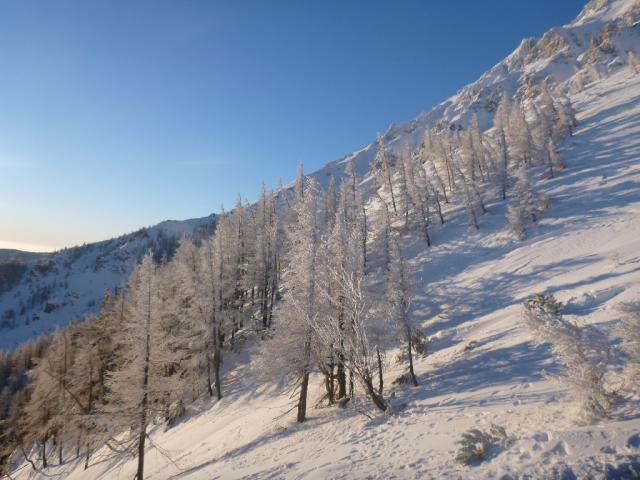 Salvisgraben 2013 (7)