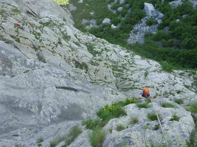 2 Subara Direkt 2013