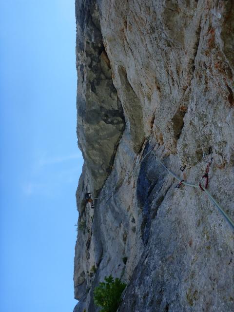 12 Subara Direkt 2013