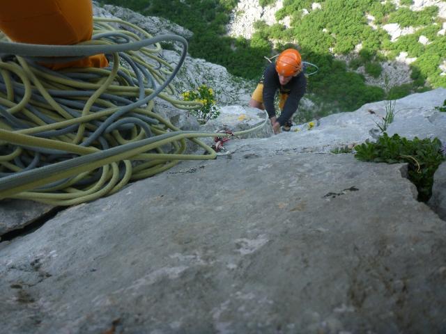 17 Subara Direkt 2013