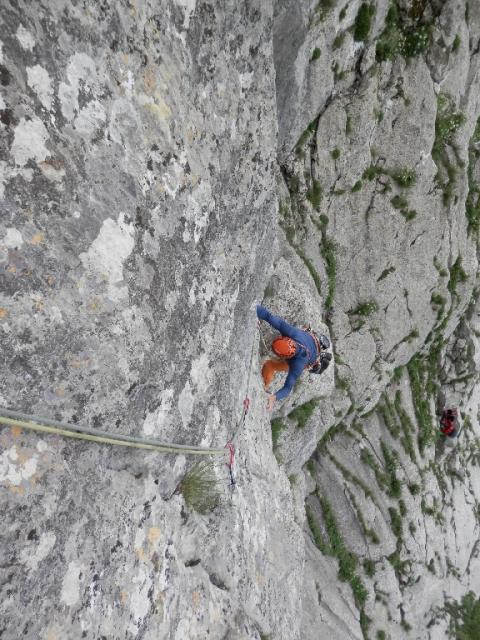 21 Subara Direkt 2013