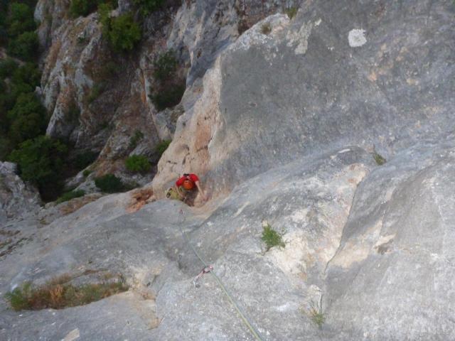 7 Zukunftsweiser Gregor