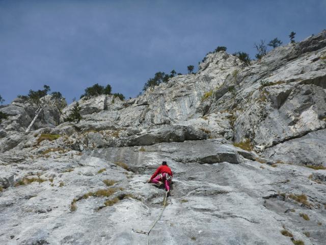 2 Runzelbrüder 2013