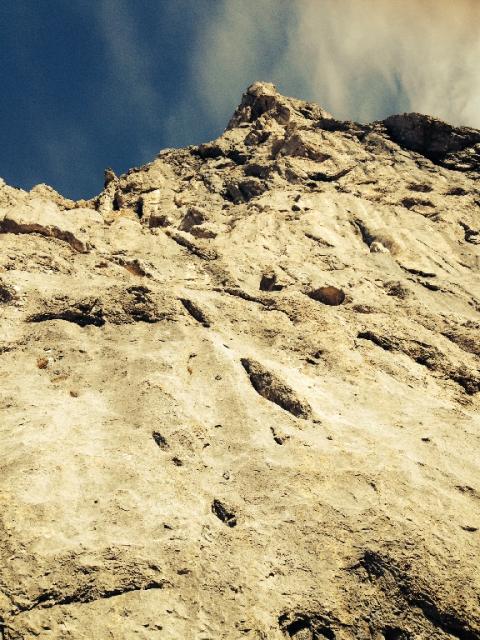 4 Murmelschreck Markus 2013