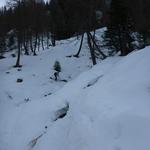 23 Kreuzeck Hüttschlag 2014