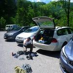 2 Nico in Blechmauernverschneidung 2014