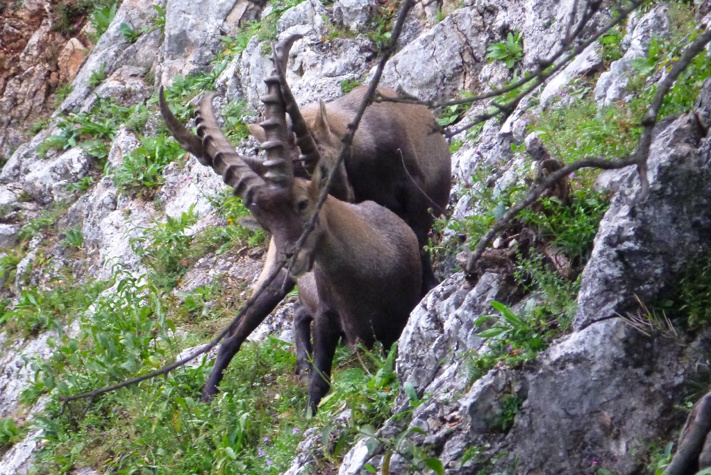 26 Fahnenkombi mit Oli 2014