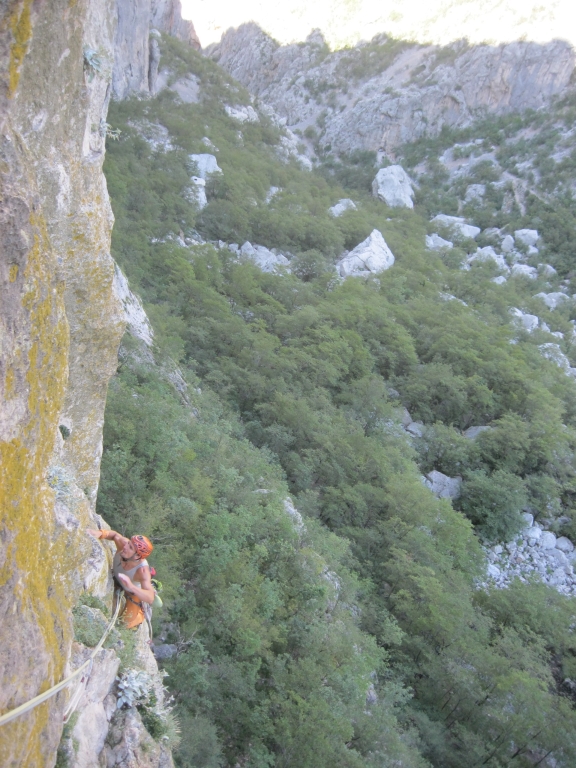 3 Albatros mit Chris