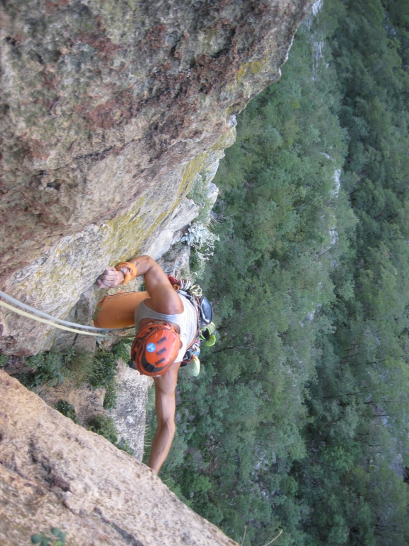 4 Albatros mit Chris