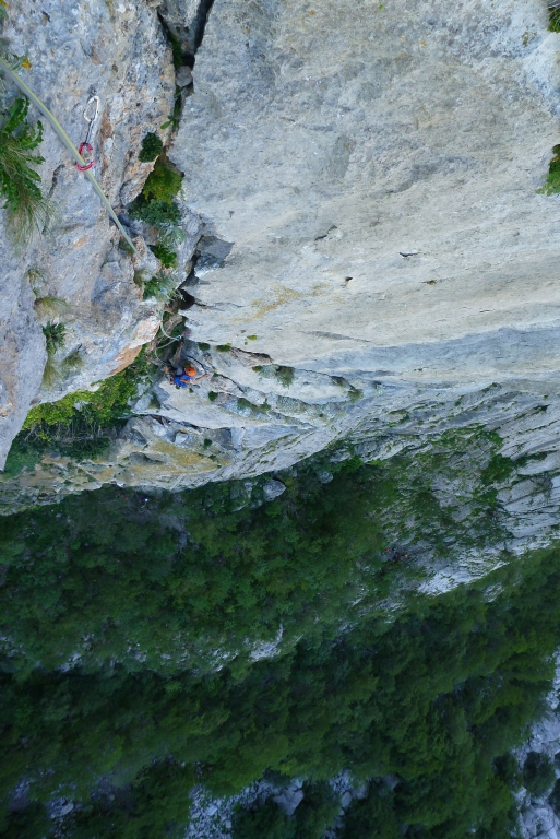 14 Albatros mit Chris