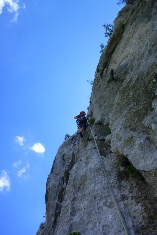 27 Albatros mit Chris