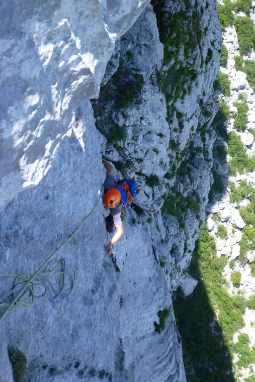 29 Albatros mit Chris