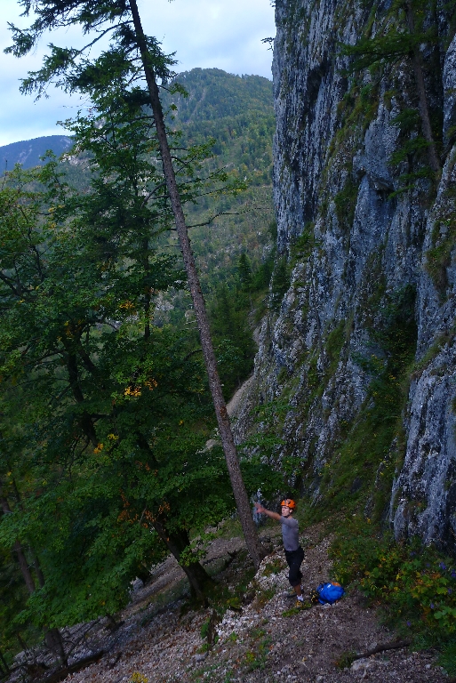 2 Blechmauernpogo 2014