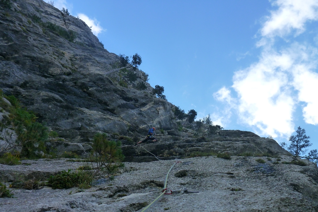 13 Blechmauernpogo 2014