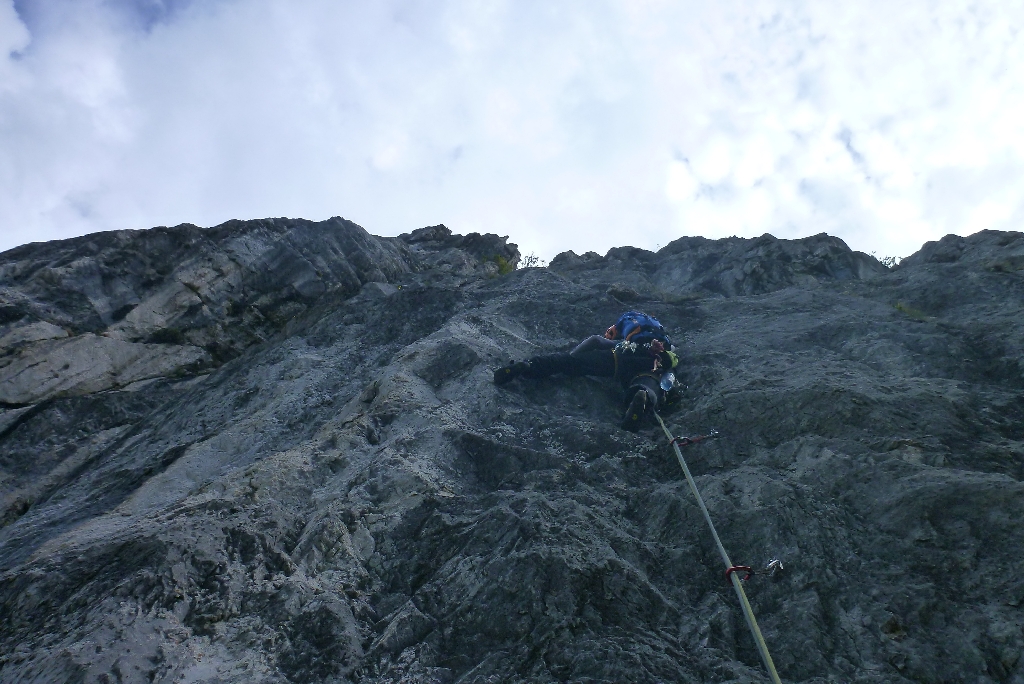 34 Blechmauernpogo 2014