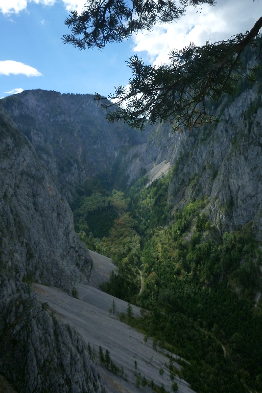 39 Blechmauernpogo 2014