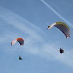 19 Höhenflug Hohe Wand 69_2014