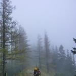 2 viel Hike wenig Fly