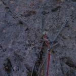 19 Sonnenschlange Dezember2014