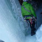 17 Schwert des Damokles 2015