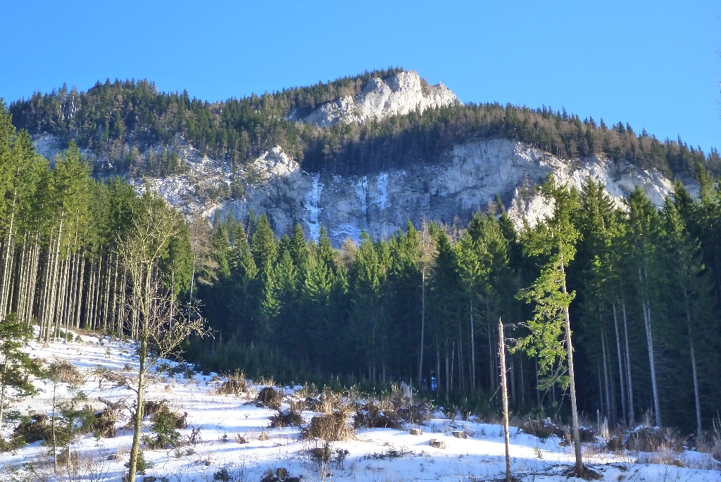 4 Wildes Gamseck_2015