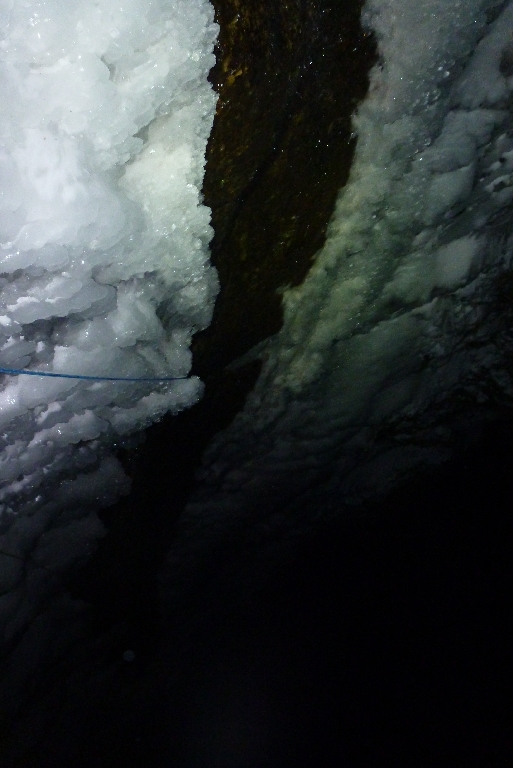 30 Wildes Gamseck_2015