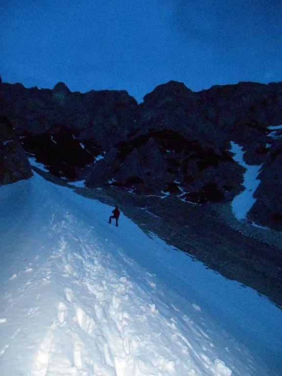 14 Wildes Gamseck_FM_2015