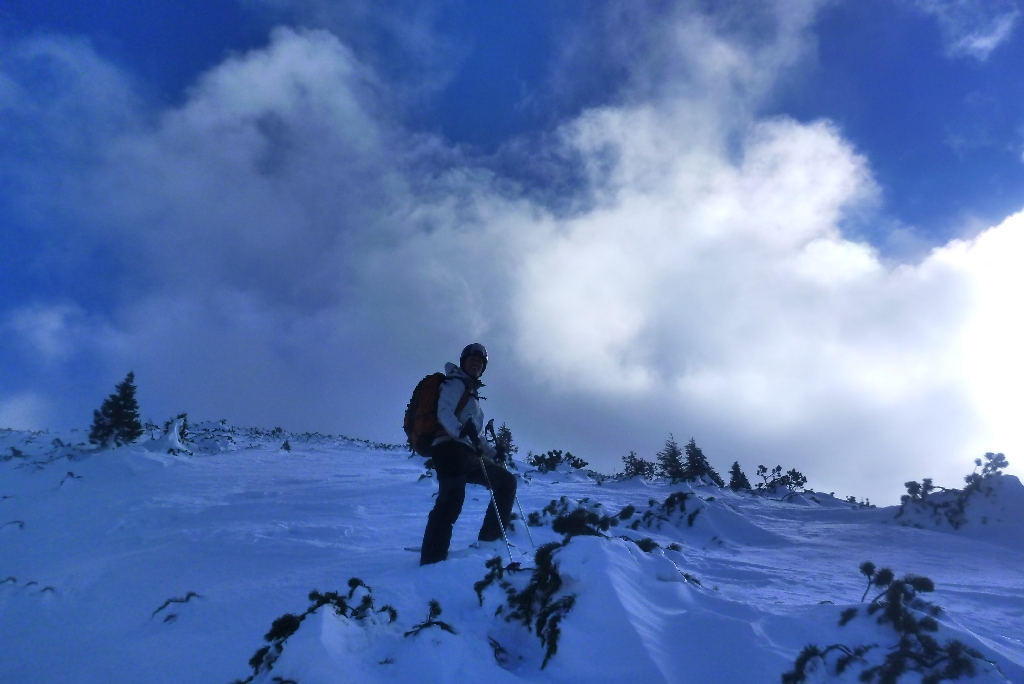 83 Salvisgraben 2015 ottobock