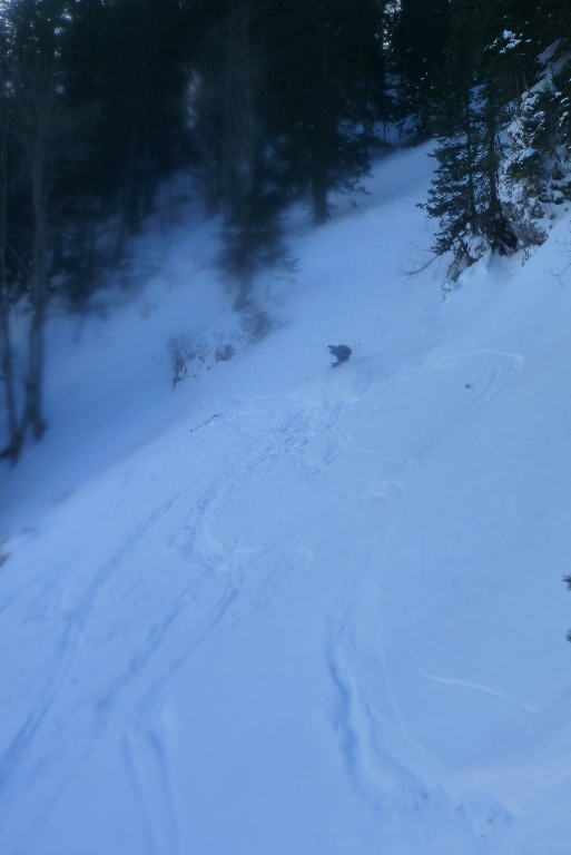 122 Salvisgraben 2015 ottobock