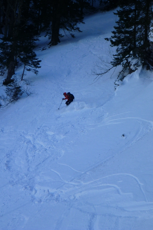 129 Salvisgraben 2015 ottobock