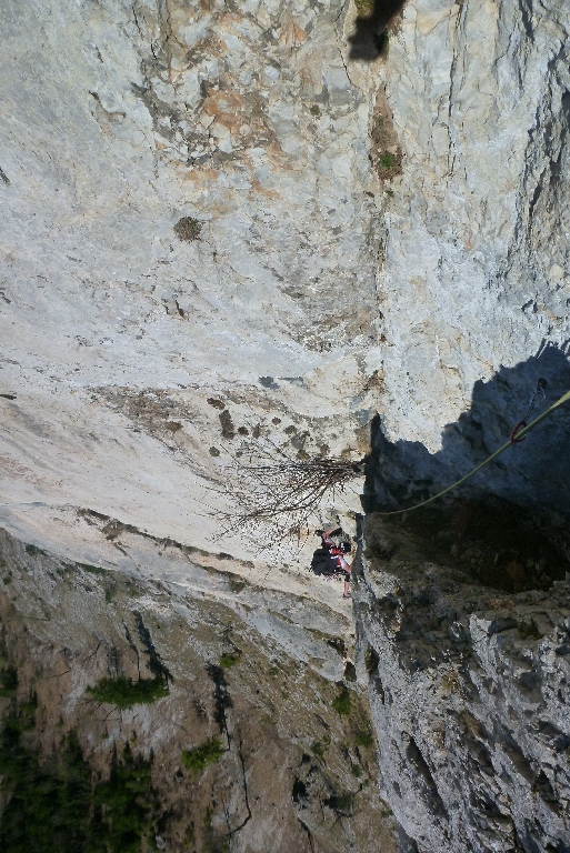 15 Blechmauernverschneidung 2015 Michl