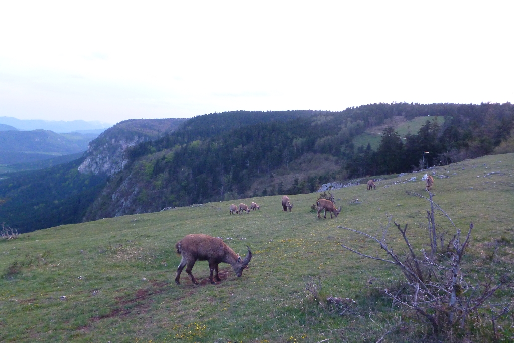 28 Zukunftsweiser April 2015