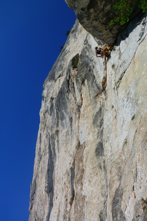 8 Blechmauernverschneidung Oli 2015