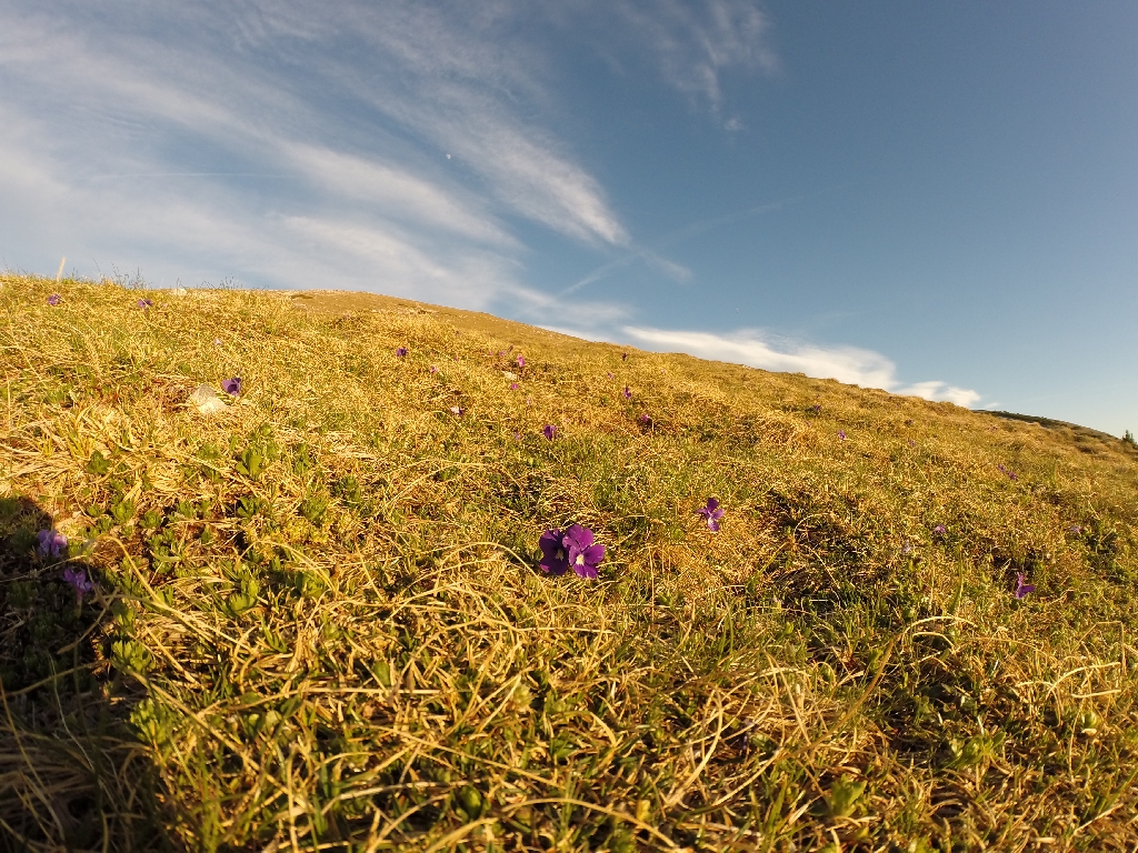 Fotos Markus Gruber 4