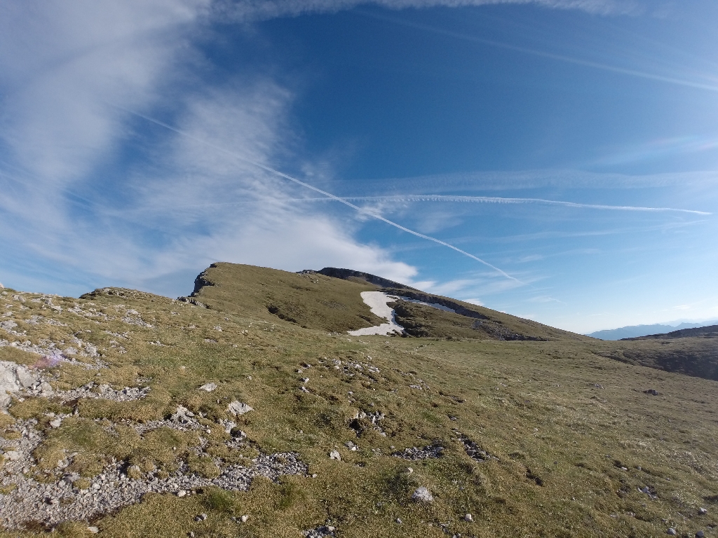 Fotos Markus Gruber 2